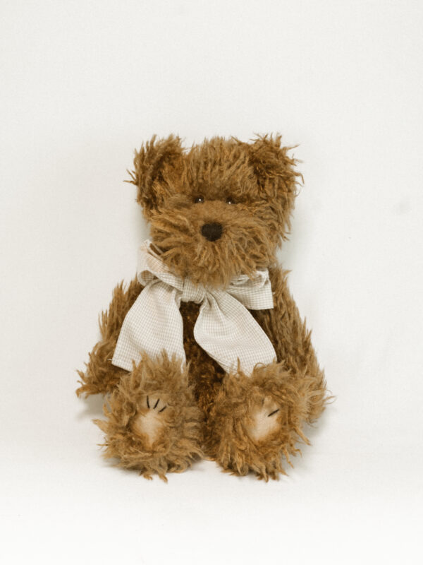brown teddy bear against white background