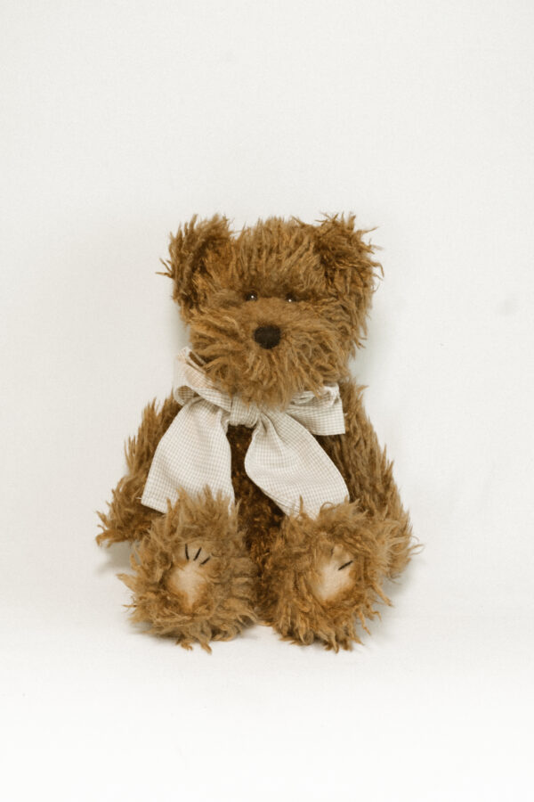 brown teddy bear against white background